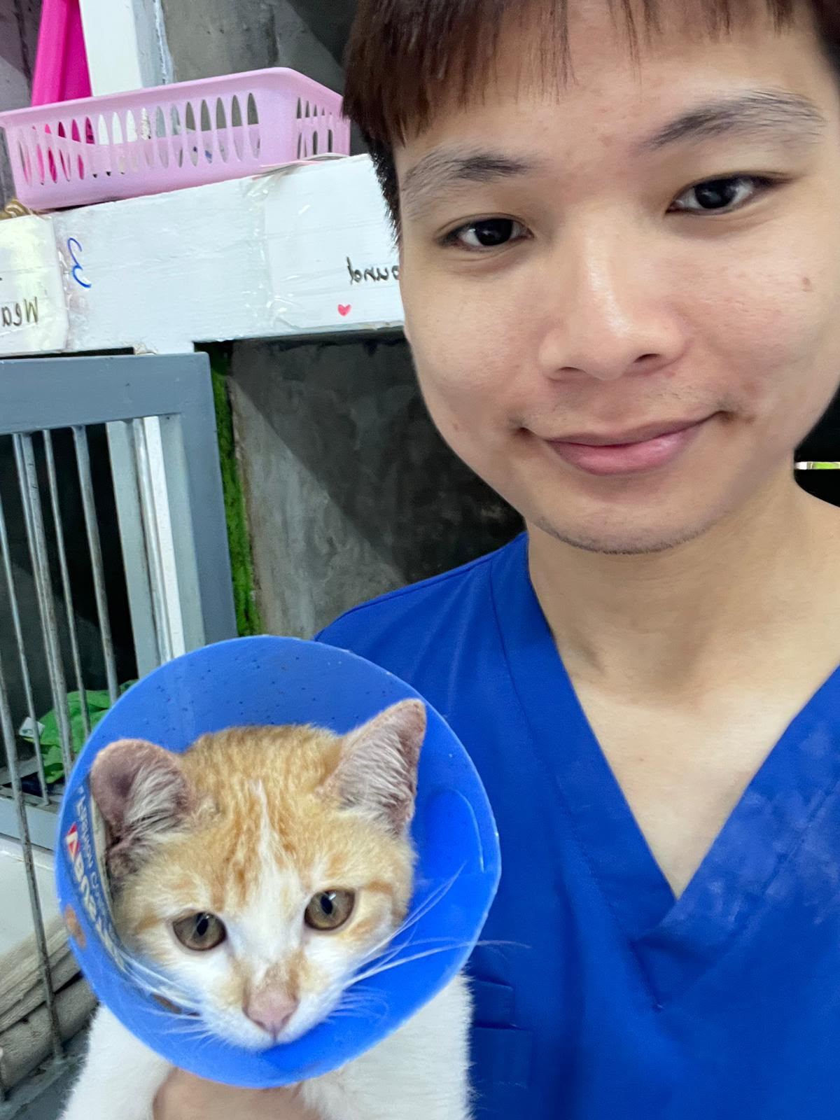 Dr Yang with a kitten wearing a recovery cone at the PACS clinic